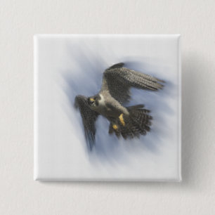 Peregrine Falcon in Flight Button