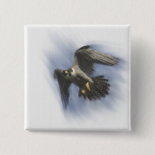 Peregrine Falcon in Flight Button (Vorderseite)