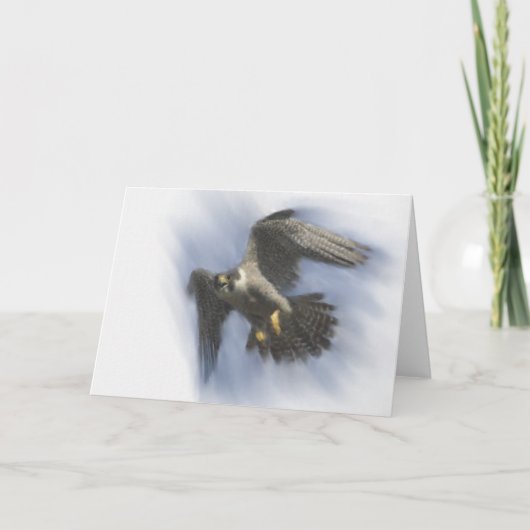 Peregrine Falcon in Flight Card Karte (Vorderseite)