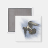 Peregrine Falcon in Flight Magnet (Vorderseite/Rückseite)