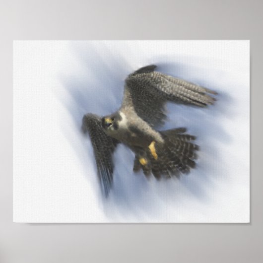 Peregrine Falcon in Flight Poster (Vorne)