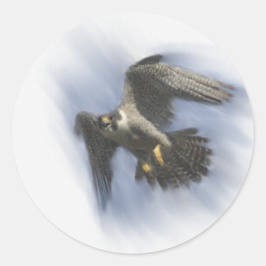 Peregrine Falcon in Flight Runder Aufkleber (Vorderseite)