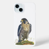 Peregrine Falcon Iphone Case (Rückseite)