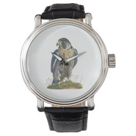Peregrine Falcon Leather Armbanduhr