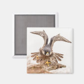 Peregrine Falcon Magnet (Vorderseite/Rückseite)