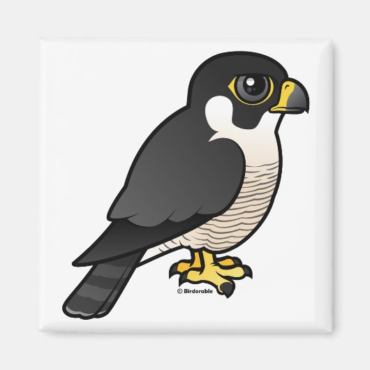 Peregrine Falcon Magnet (Vorne)