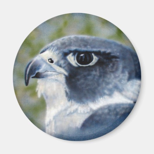 Peregrine Falcon Magnet (Vorne)