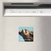 Peregrine Falcon Magnet (In Situ (Geschirrspüler))