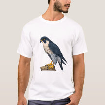 Peregrine falcon Men's T-Shirts