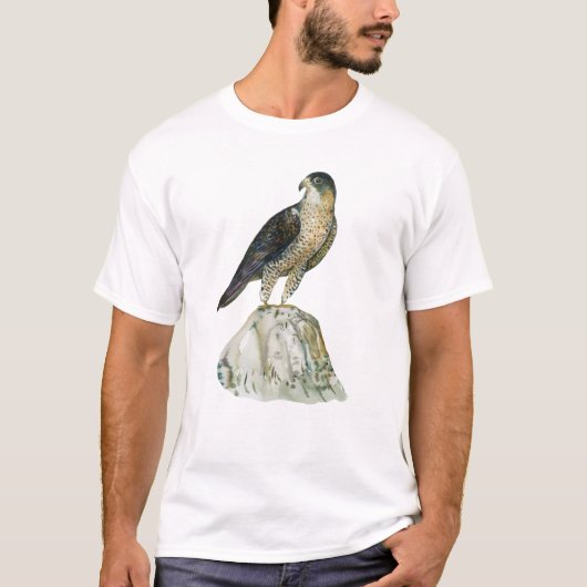 Peregrine falcon Men's T-Shirts (Vorderseite)