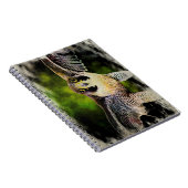 Peregrine Falcon Notizblock (Rechte Seite)