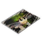 Peregrine Falcon Notizblock (Linke Seite)