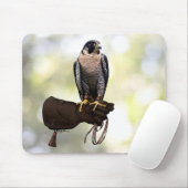 Peregrine Falcon on Glove Mousepad (Mit Mouse)