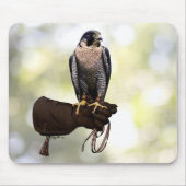 Peregrine Falcon on Glove Mousepad (Vorne)