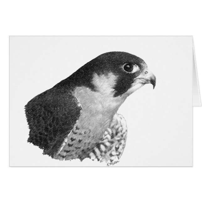Peregrine Falcon-Pencil (Vorderseite (Horizontal))