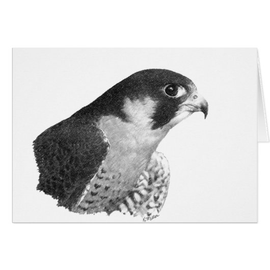 Peregrine Falcon-Pencil (Vorderseite (Horizontal))