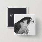 Peregrine Falcon-Pencil Button (Vorne & Hinten)