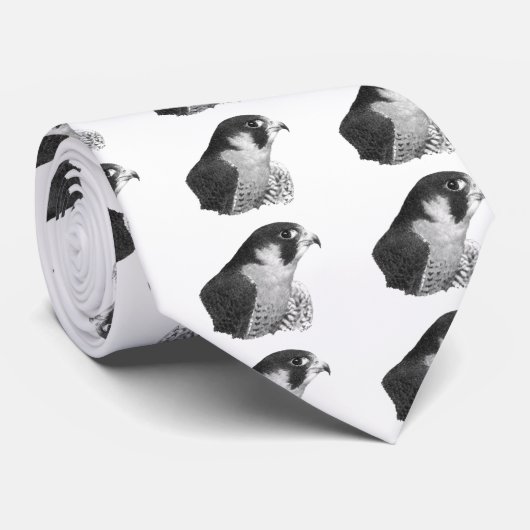 Peregrine Falcon-Pencil Krawatte (Gerollt)