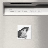 Peregrine Falcon-Pencil Magnet (In Situ (Geschirrspüler))