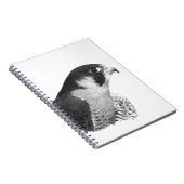 Peregrine Falcon-Pencil Notizblock (Rechte Seite)