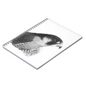 Peregrine Falcon-Pencil Notizblock (Linke Seite)