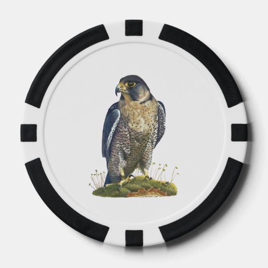 Peregrine Falcon Pokerchips (Vorderseite)