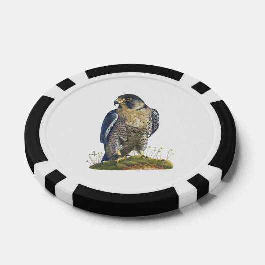 Peregrine Falcon Pokerchips (Einzeln)