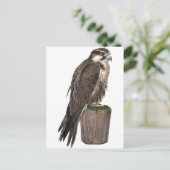 Peregrine Falcon Postcard Postkarte (Stehend Vorderseite)