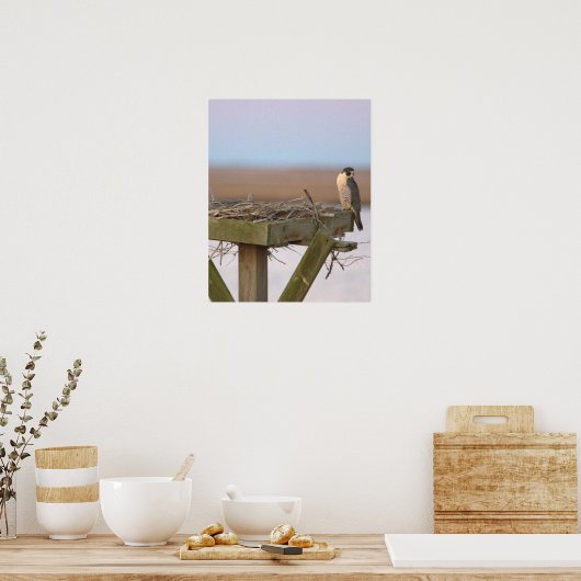 Peregrine Falcon Poster (Küche)