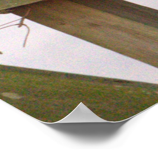 Peregrine Falcon Poster (Ecke)