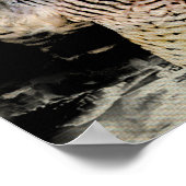 Peregrine Falcon Poster (Ecke)