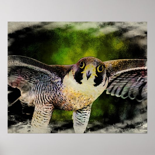 Peregrine Falcon Poster (Vorne)