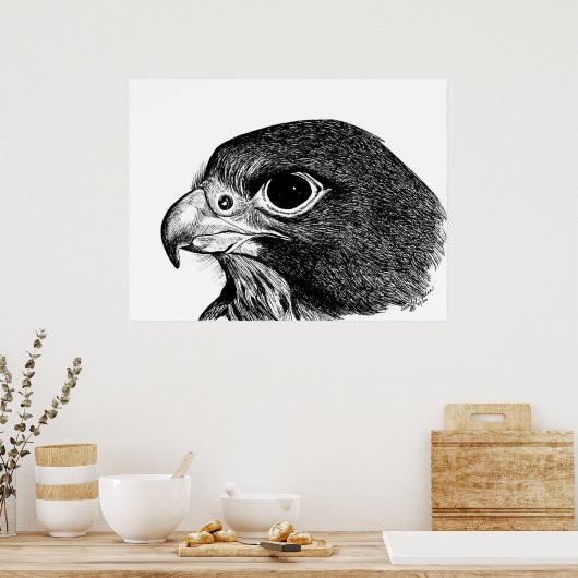 Peregrine Falcon Poster (Küche)