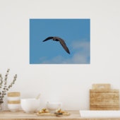 Peregrine Falcon Poster (Küche)