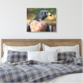Peregrine Falcon Profil Leinwanddruck (Insitu (Schlafzimmer))