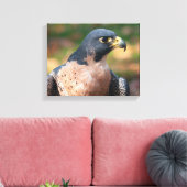 Peregrine Falcon Profil Leinwanddruck (Insitu (Wohnzimmer))