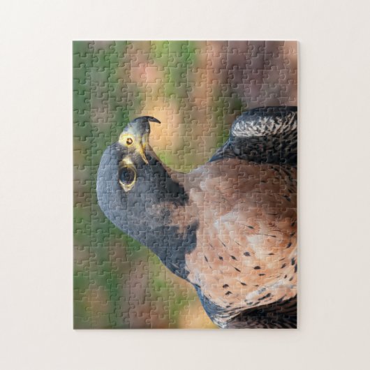 Peregrine Falcon Profil Puzzle (Vertikal)