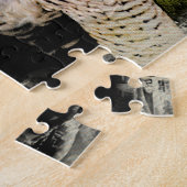 Peregrine Falcon Puzzle (Seite)