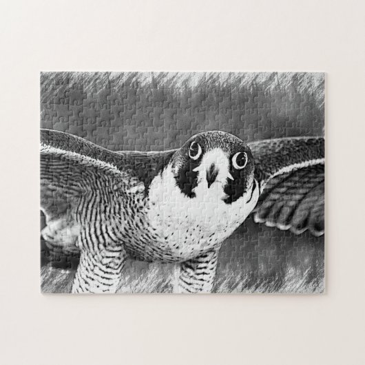 Peregrine Falcon Puzzle (Horizontal)