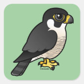 Peregrine Falcon Quadratischer Aufkleber (Vorderseite)