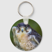 Peregrine Falcon Schlüsselanhänger (Vorderseite)