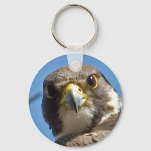 Peregrine Falcon Schlüsselanhänger