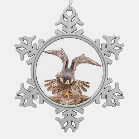 Peregrine Falcon Schneeflocken Zinn-Ornament (Vorderseite)