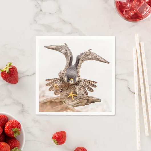 Peregrine Falcon Serviette (Beispiel)