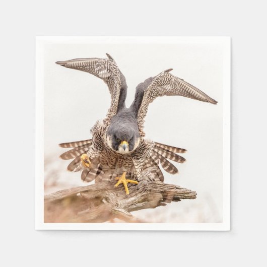 Peregrine Falcon Serviette (Vorderseite)