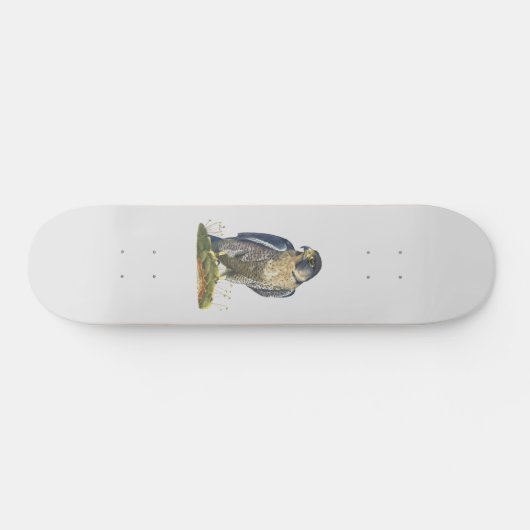 Peregrine Falcon Skateboard (Horizontal)