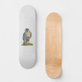 Peregrine Falcon Skateboard (Vorderseite)