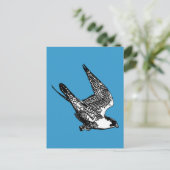 Peregrine Falcon Sketch Postkarte (Stehend Vorderseite)