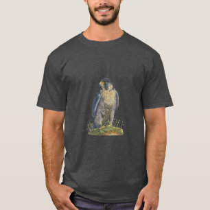 Peregrine falcon T - Shirt