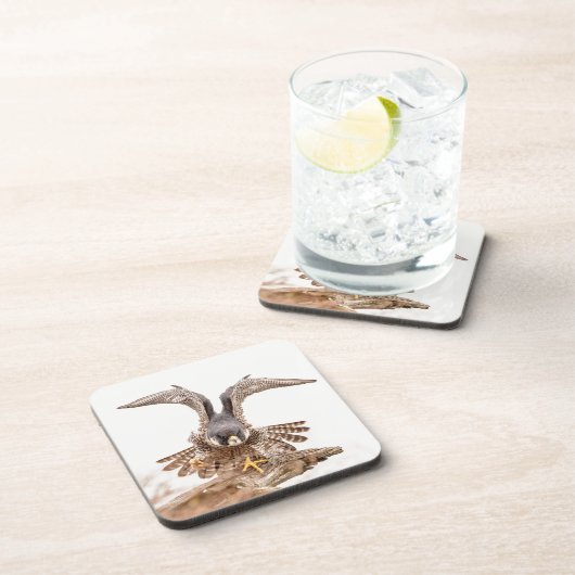 Peregrine Falcon Untersetzer (Rechte Seite)